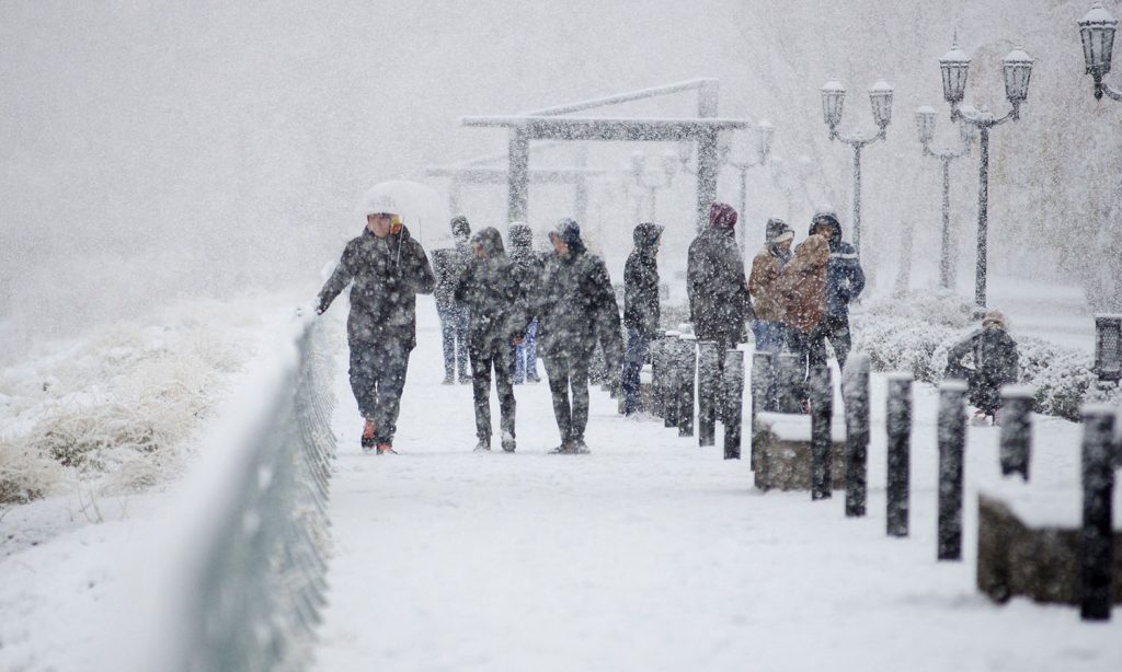 Ola polar: nevadas sincronizadas con la llegada del invierno pintaron de blanco las provincias cordilleranas