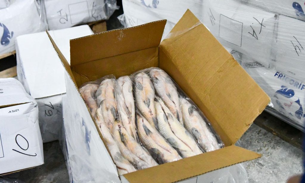 Para evitar el colapso ecológico, se suspenderá por un año el acopio de pescado para exportación en la provincia de Santa Fe