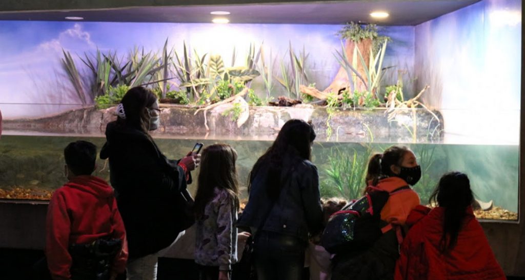 El Acuario del Río Paraná recibió tres mil visitantes por fin de semana desde su reapertura