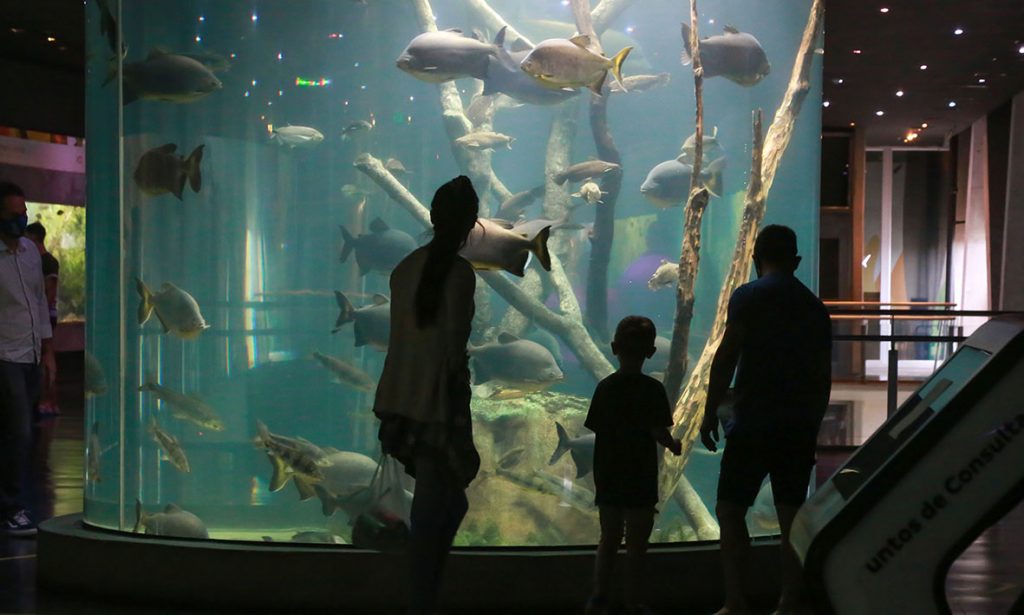 Durante el verano se podrá ingresar al Acuario del Río Paraná con visitas libres y acompañadas