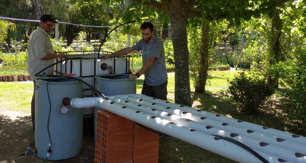 Se inició el desarrollo de un modelo productivo de acuaponia en la ciudad de Coronda