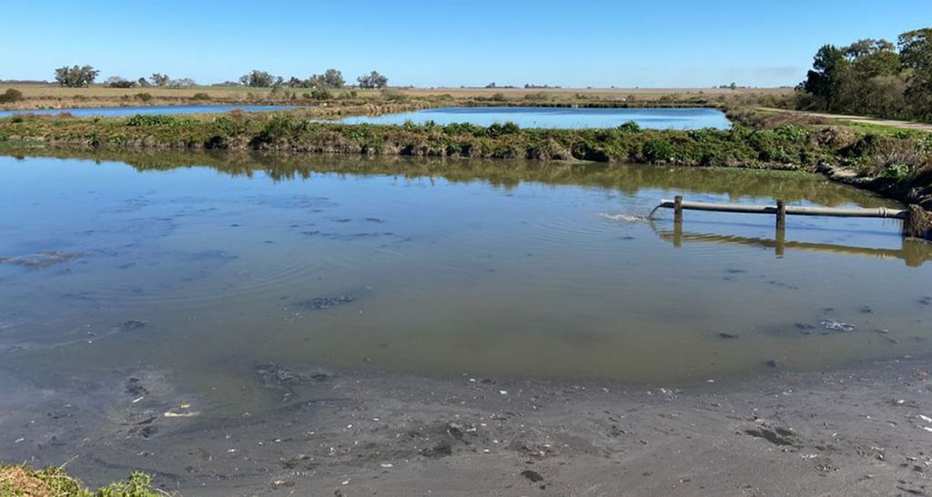 En San Justo detectaron ARN viral del SARS-CoV-2 en aguas residuales urbanas