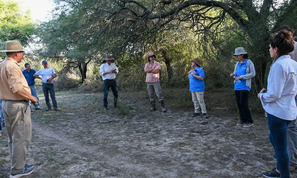 Se realizó una capacitación sobre el manejo de bosques nativos y ganadería sostenible en el territorio provincial