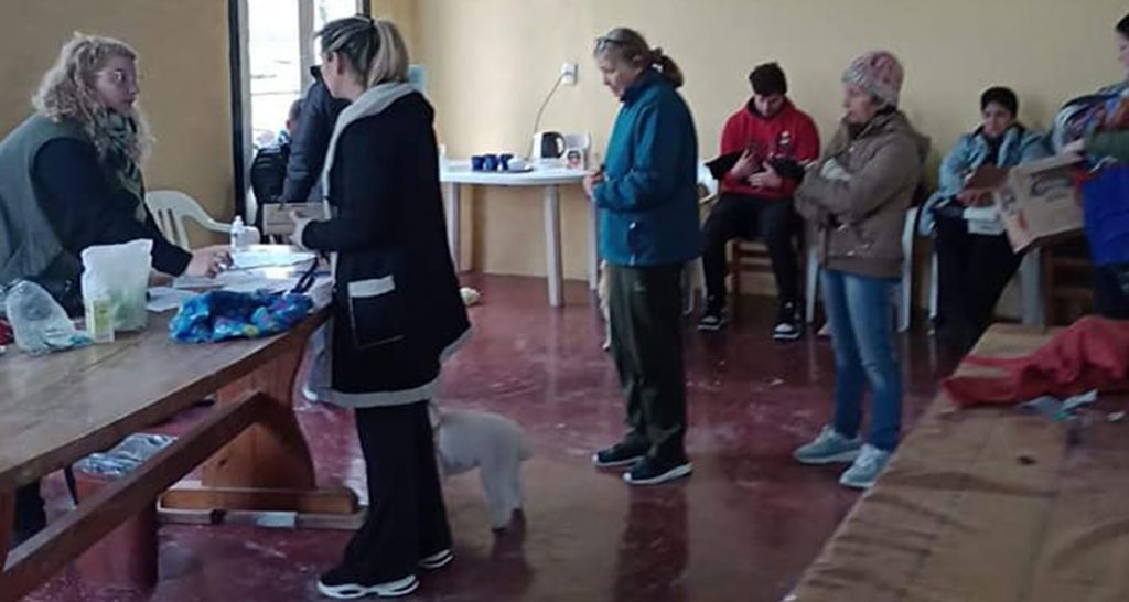 Se realizó una exitosa campaña de castración de animales en Candioti