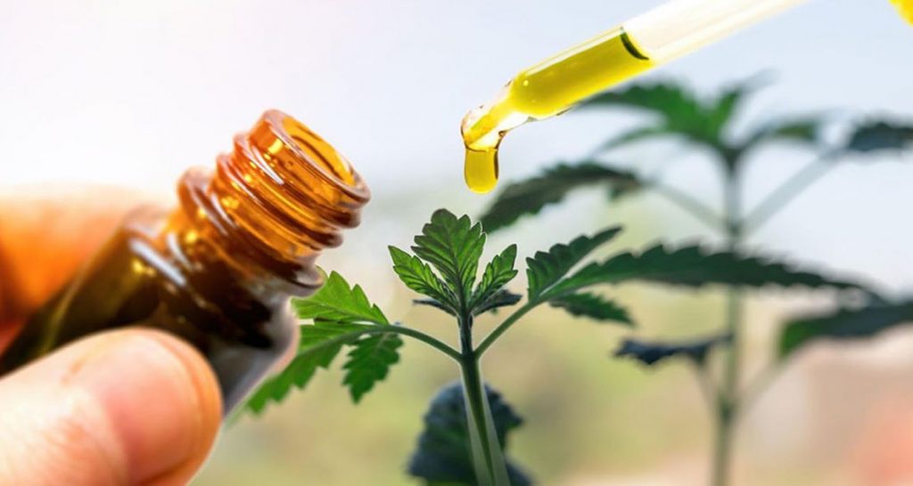 El Gobierno nacional creó una categoría para productos vegetales a base de cannabis con fines terapéuticos