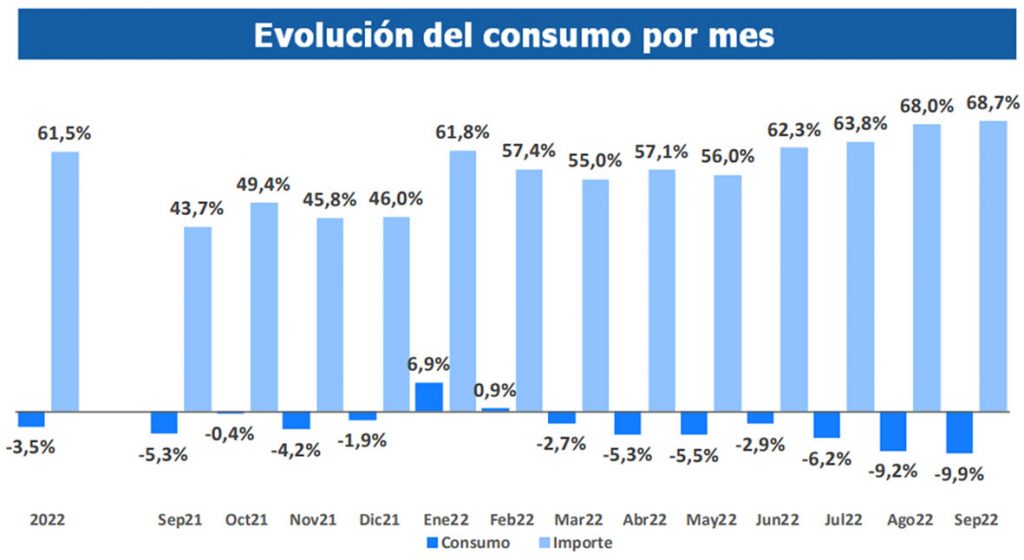El consumo masivo de los argentinos cayó un 9,9% en septiembre
