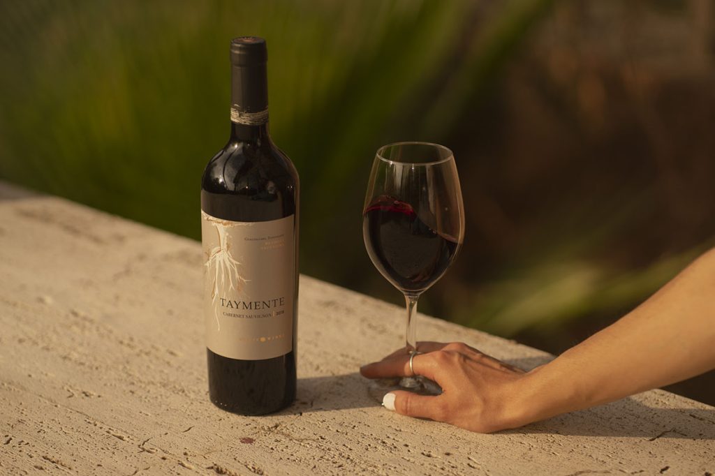Los secretos de los premiados vinos argentinos Cabernet Sauvignon