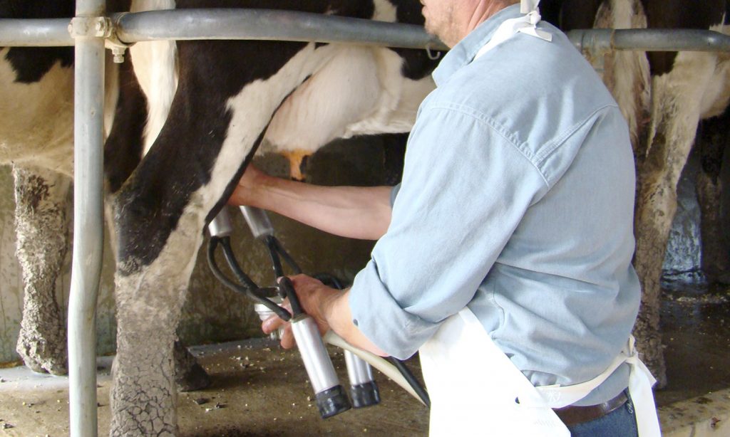 Productores santafesinos reunieron con funcionarios para tratar el pago de la leche por criterio de calidad