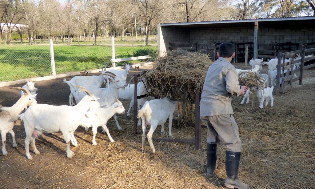 Ingreso a la Escuela Granja 2027: qué cambia este año y cómo preinscribirse