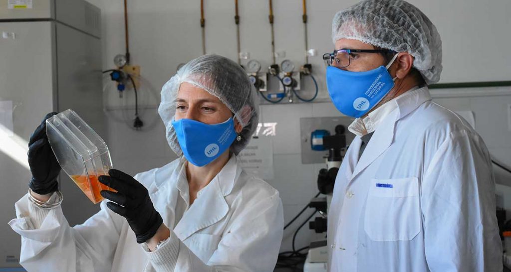 BioSynaptica desarrolla fármacos para enfermedades neurodegenerativas