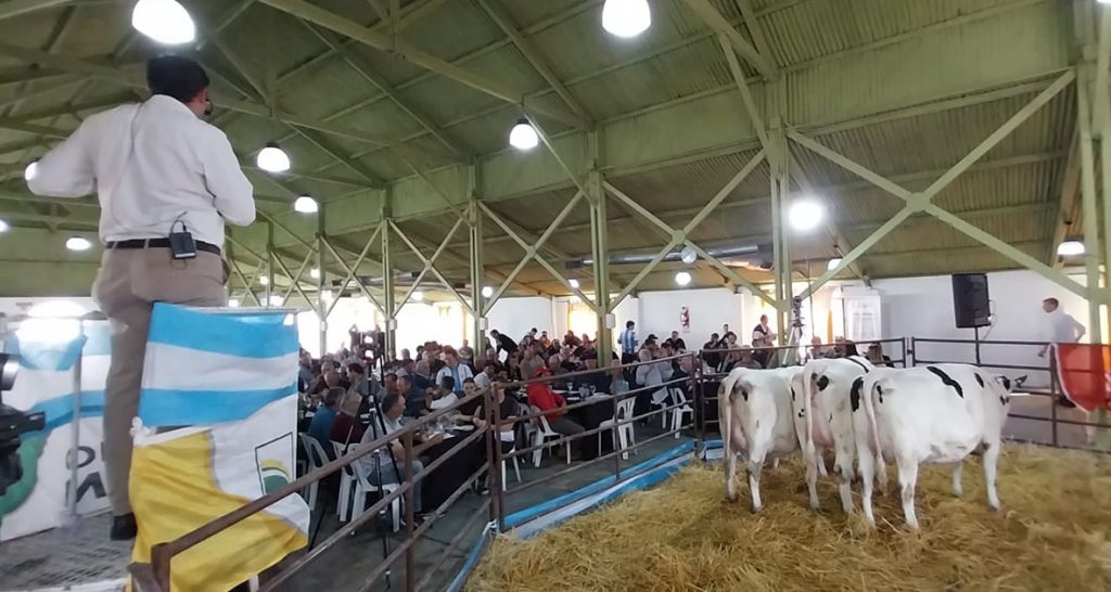 Pasión Lechera volvió a llenar la Sociedad Rural de Rafaela con genética de primer nivel y grandes valores