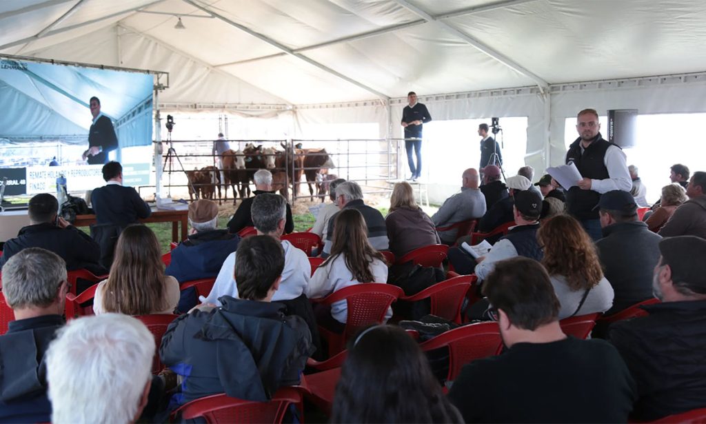 La Fiesta Nacional de la Cosechadora cerró con un gran remate Holando y fuerte presencia productiva