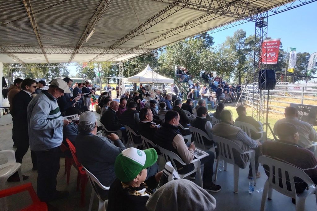 La Lehmann prepara un nuevo remate de reproductores en el marco de Expo Campo & Ciudad en Romang