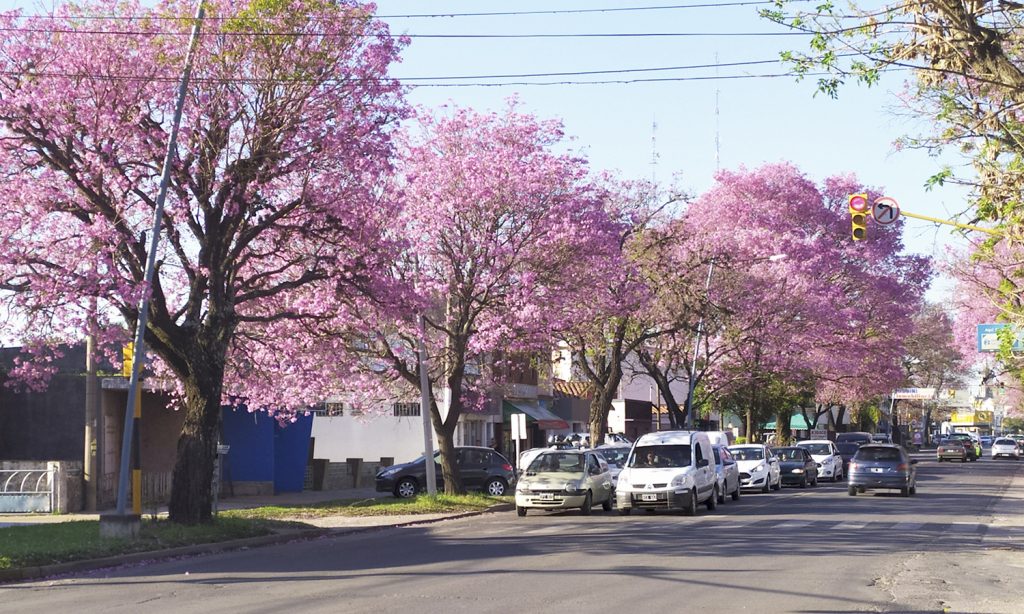 La ciudad de Santo Tomé superó los 500 casos de coronavirus