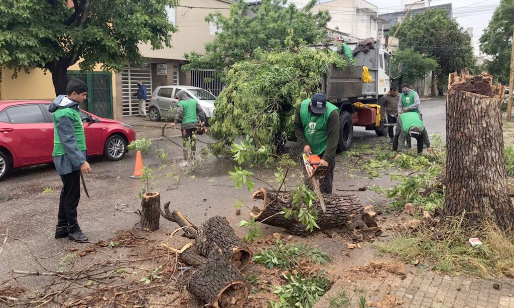 El temporal de viento y lluvia dejó daños importantes en la ciudad de Santa Fe