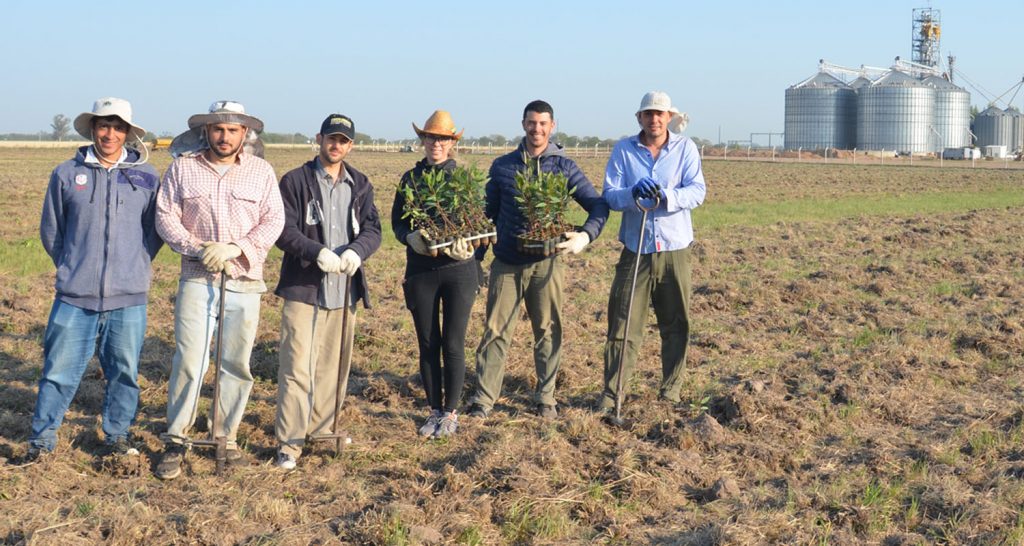 Con 4.600 árboles plantados, la Cooperativa Lehmann creó el “Proyecto Forestal San Agustín”