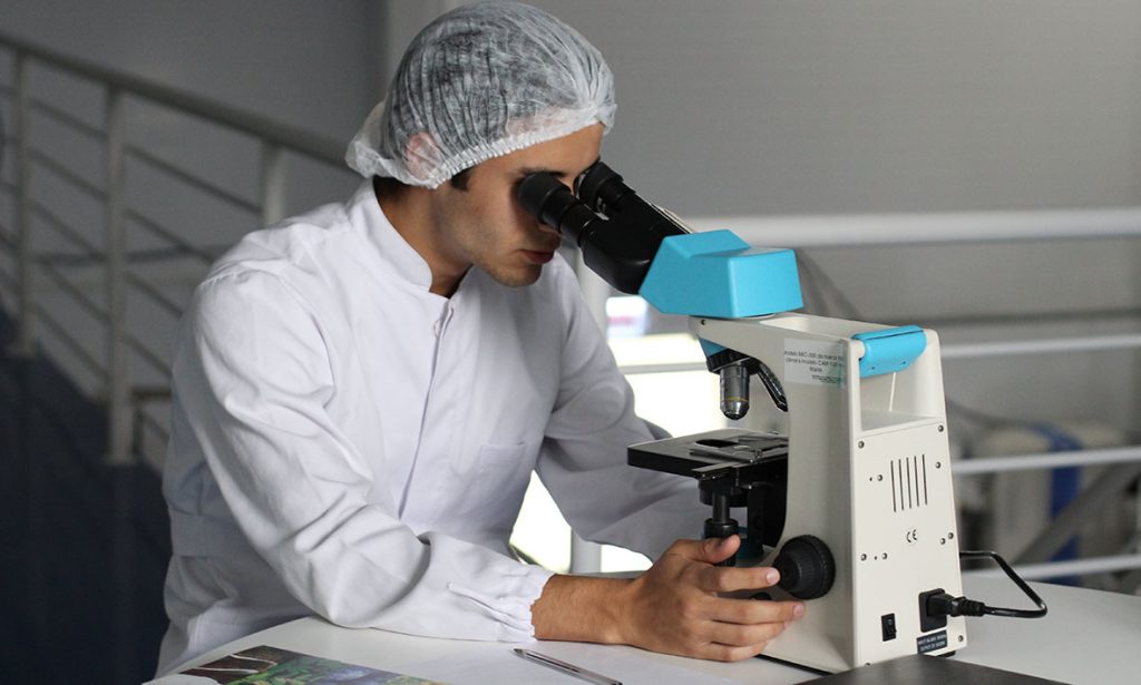 Innovación abierta: transición digital en el negocio de la salud