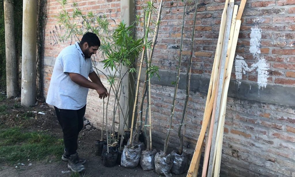 Para erradicar basurales, plantan árboles y flores en Playa Norte de la ciudad de Santa Fe