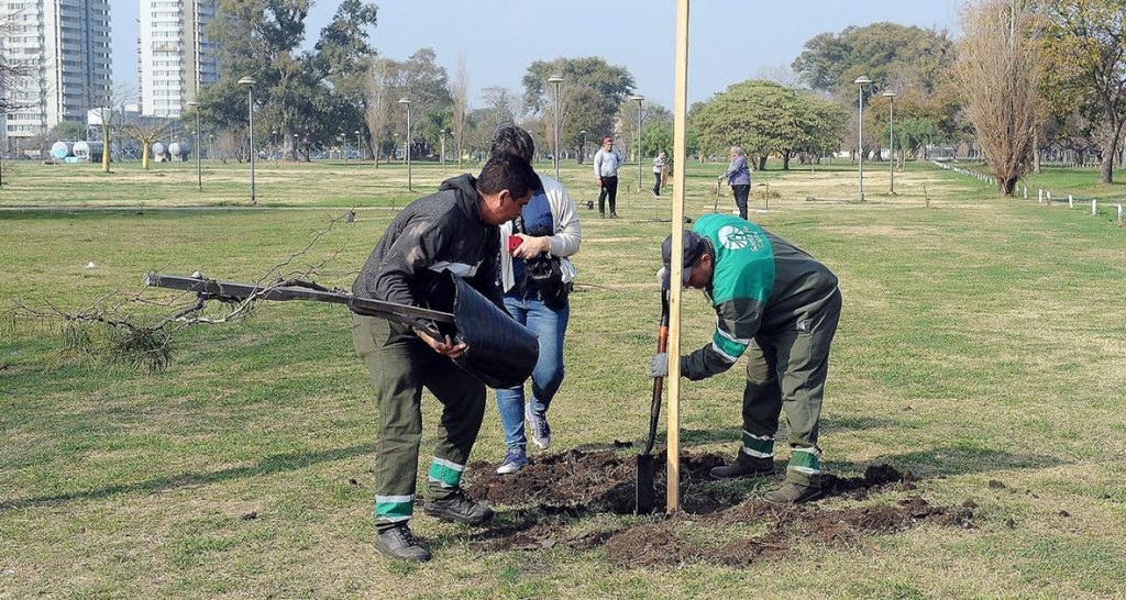 Plantarán 200 árboles para aportar al desarrollo urbanístico del Procrear en el Parque Federal de Santa Fe
