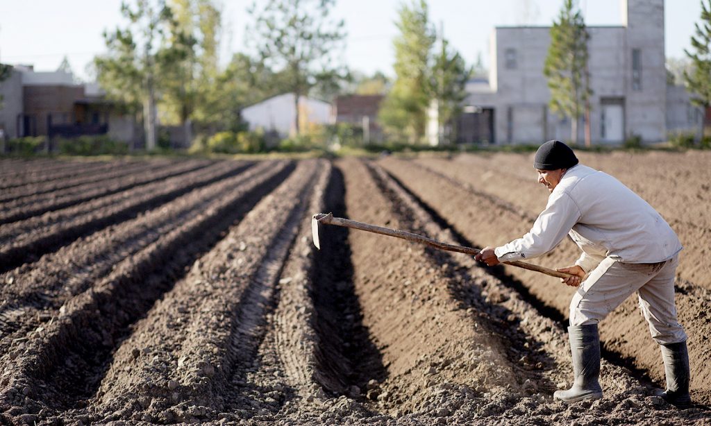 Alimentos naturales y a precio justo: así funciona el Mercado Santafesino