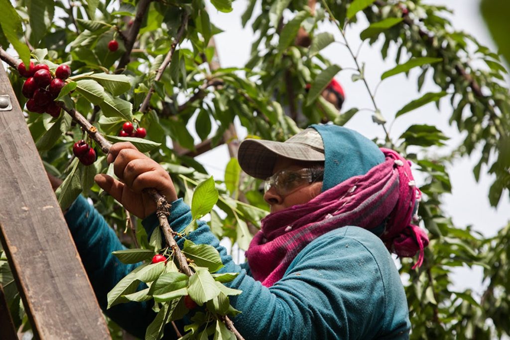 El Renatre actualizó la Prestación por Desempleo y alcanza el monto máximo en $374.954