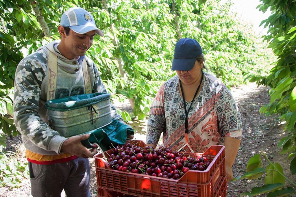 El RENATRE aumentó la Prestación por Desempleo a partir de mayo y alcanza el máximo de $382.453