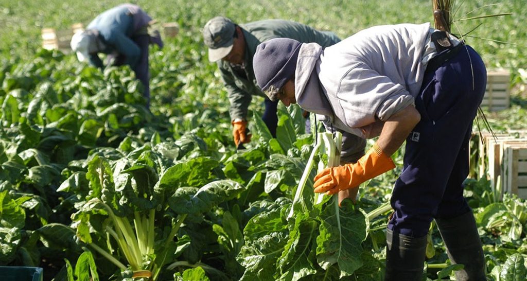 El Renatre sortea un importante viaje para celebrar el Día del Trabajador Rural