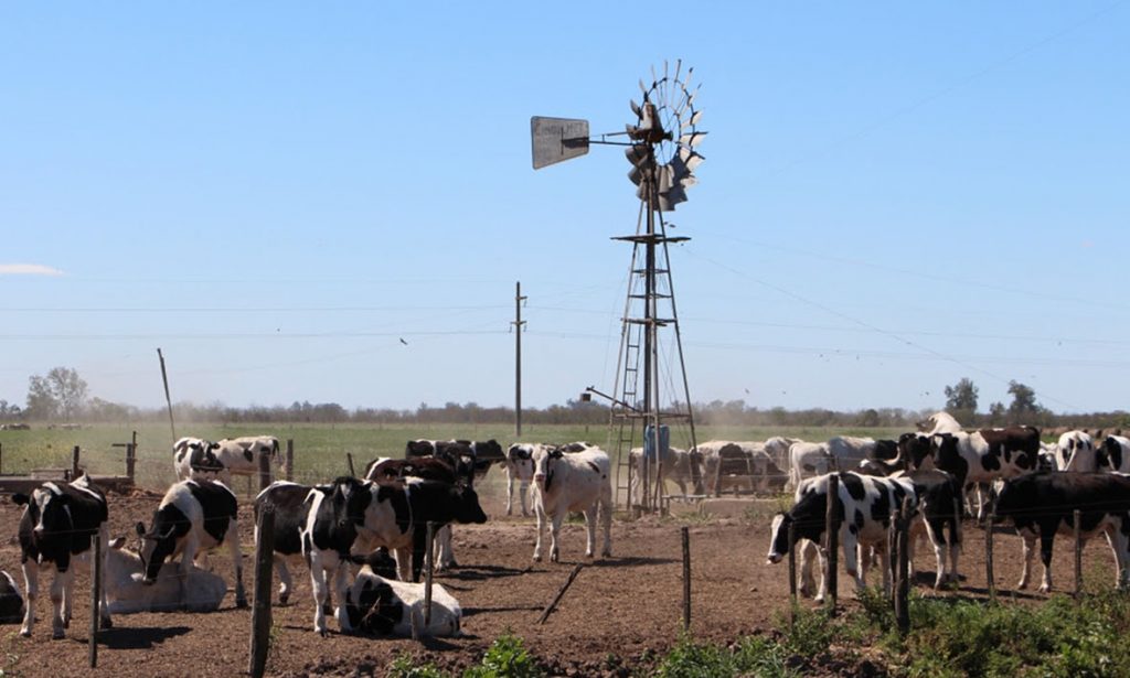 Con más de 1.500 productores, Santa Fe lidera las solicitudes de compensación para el sector tambero