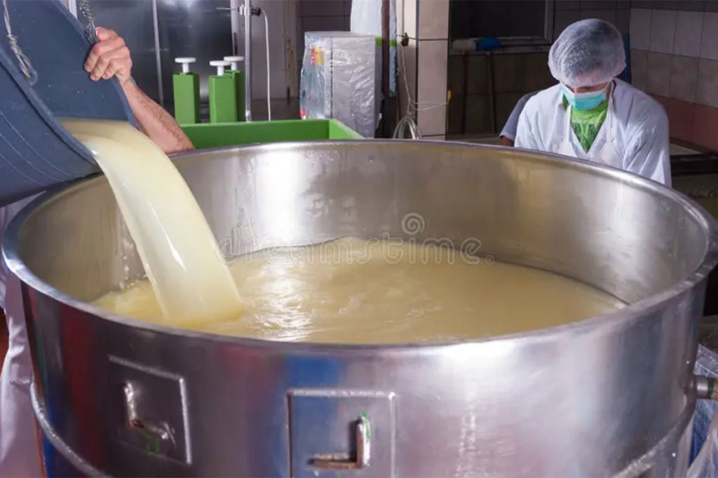 Investigadores de la UNL transforman el descarte lácteo en alimentos funcionales