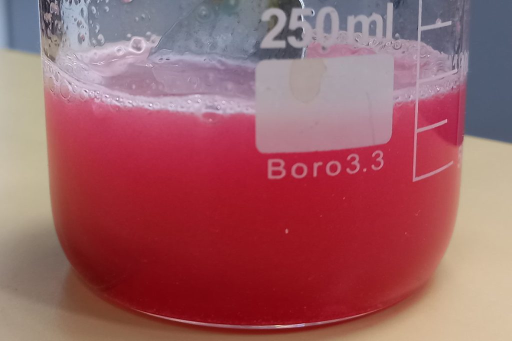 Investigadores de la UNL desarrollaron un nuevo producto alimenticio con colágeno hidrolizado