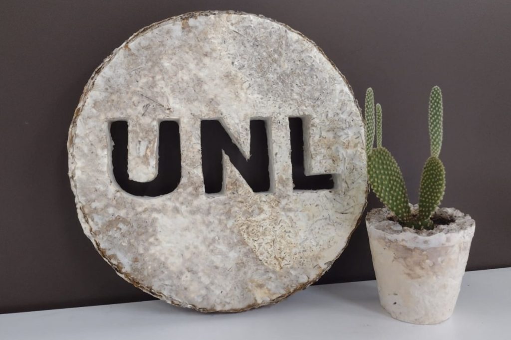 Investigadores del Conicet y la UNL desarrollan un telgopor ecológico a partir de cáscara de arroz