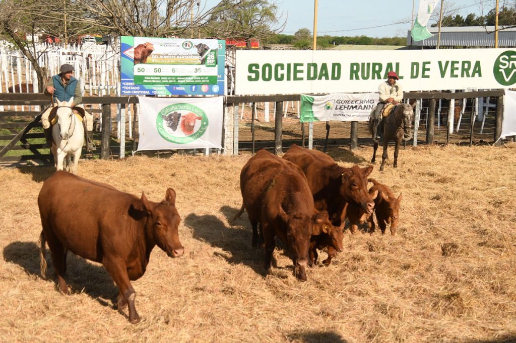 Se viene una nueva edición del Gran Remate del Noreste santafesino