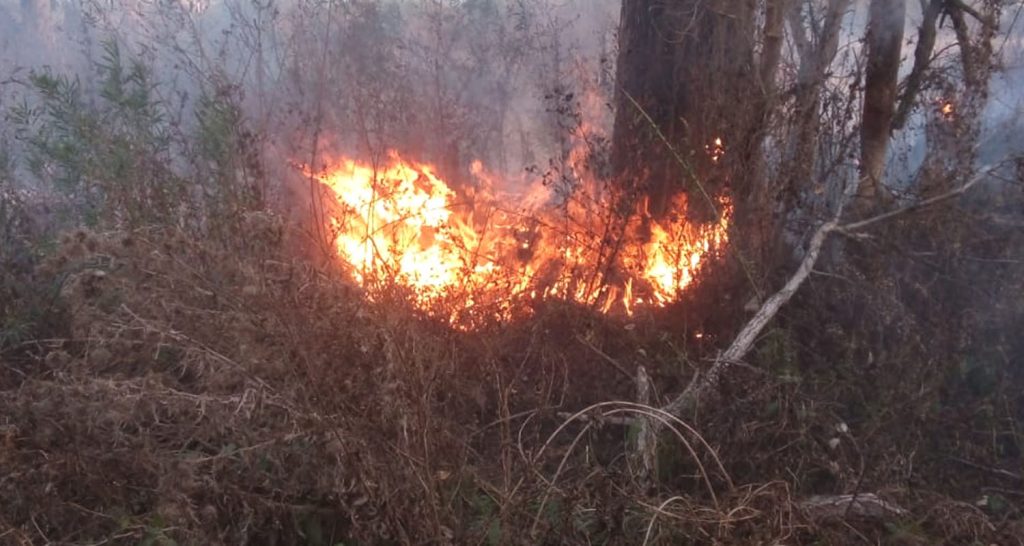 Prefectura identificó a 7 sospechosos por los incendios en las islas de Entre Ríos