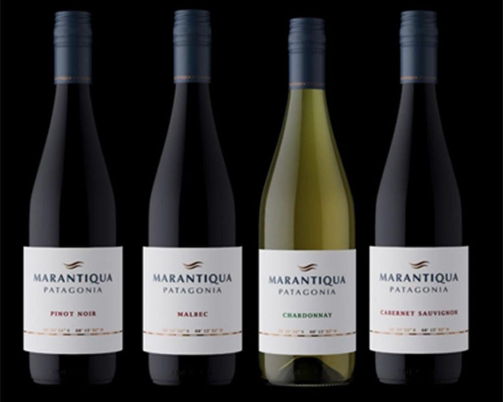 Nace Marantiqua: la nueva línea de vinos patagónicos que emerge de un antiguo mar