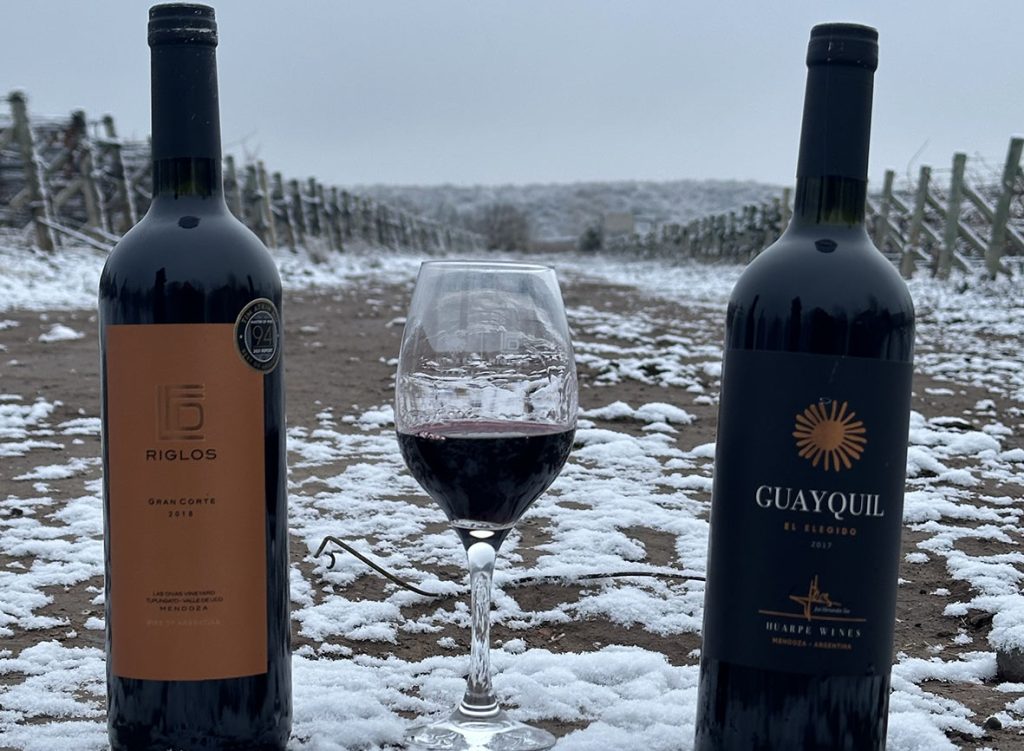 Los vinos mendocinos premiados en el mundo ahora llegan al consumidor a través de un nuevo canal digital