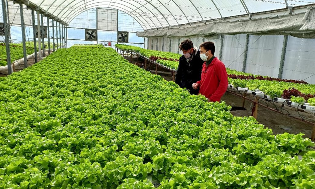 El gobierno de la provincia de Santa Fe ofrece financiamiento para el sector frutihortícola